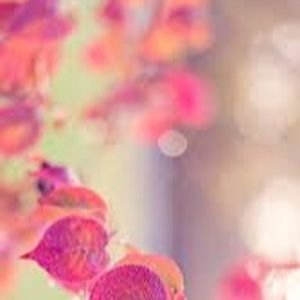 Meet your Posher, Carissa